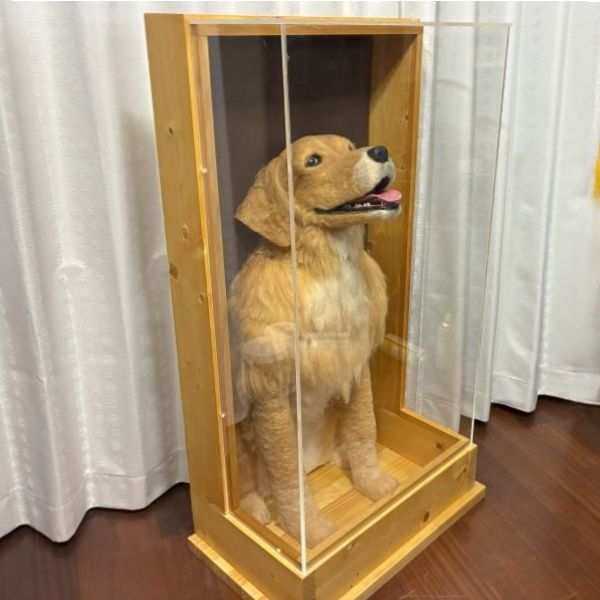 アクリルケース付きのフェルト作品